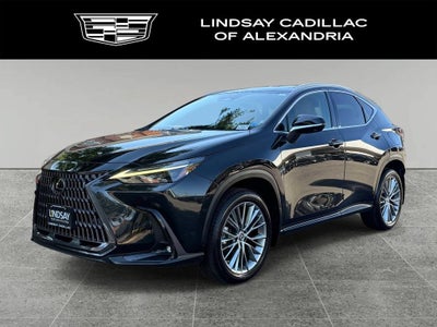 2022 Lexus NX NX 350h Luxury