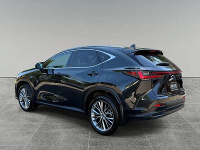 2022 Lexus NX NX 350h Luxury