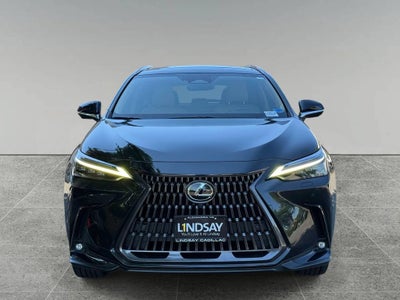 2022 Lexus NX NX 350h Luxury