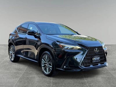 2022 Lexus NX NX 350h Luxury
