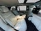 2024 Land Rover Range Rover Autobiography