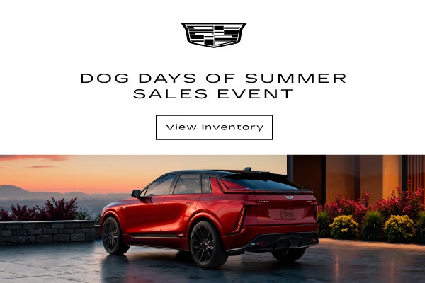 Dog Days of Summer