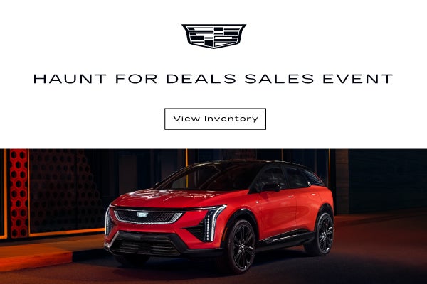 Haunt for Deals